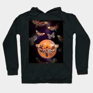 Mothity Moth Moth Moth the Mothening Hoodie